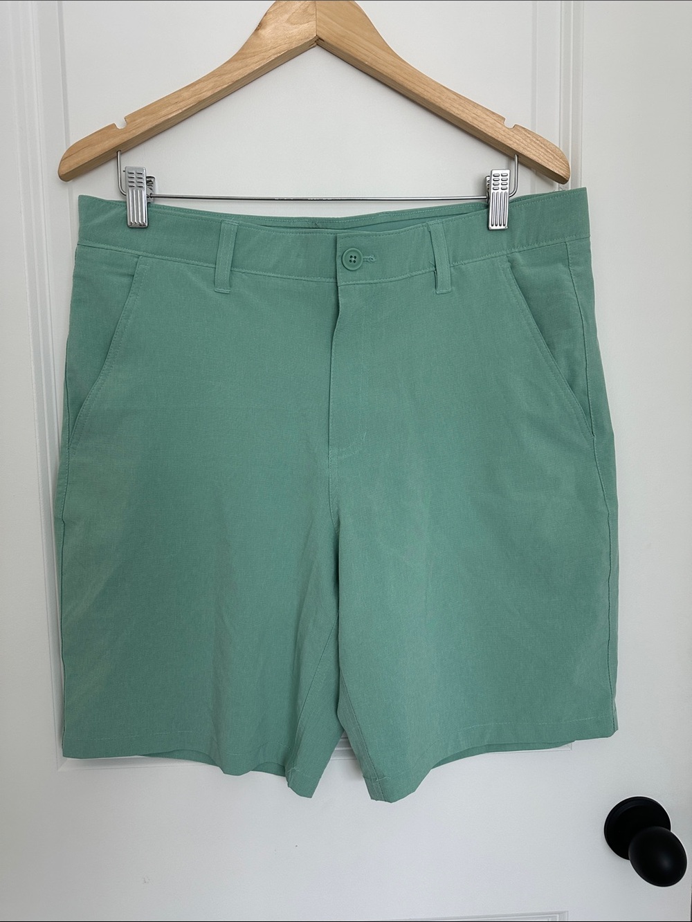 Rorie Whelan Men's 8.5” Casual Golf Shorts Mint Green 34